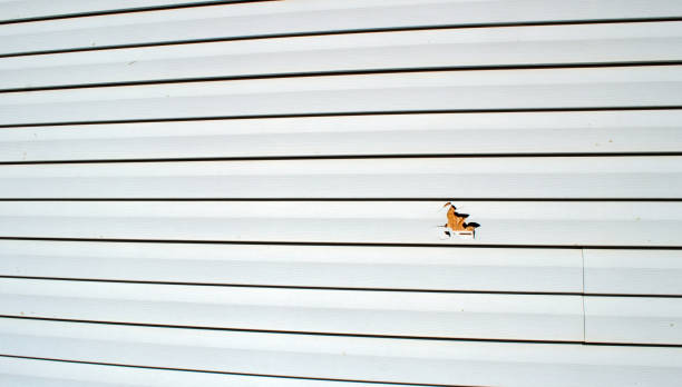Affordable siding repair and maintenance services in Mount Airy, GA